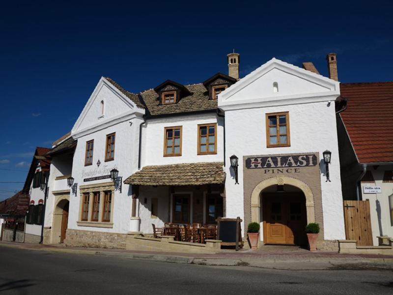 Halasi Pince Panzio Villány Exteriér fotografie