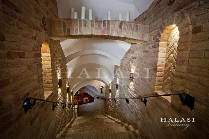 Halasi Pince Panzio Villány Exteriér fotografie